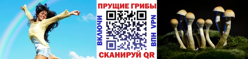 hydra   Полярный  Псилоцибиновые грибы мухоморы 